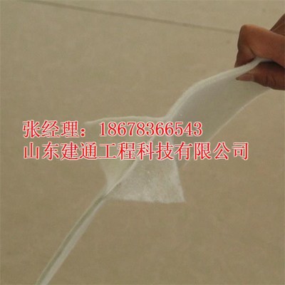 山東建通兩布一膜復(fù)合土工膜 汕頭地區(qū)價(jià)格、廠(chǎng)家與產(chǎn)品解析